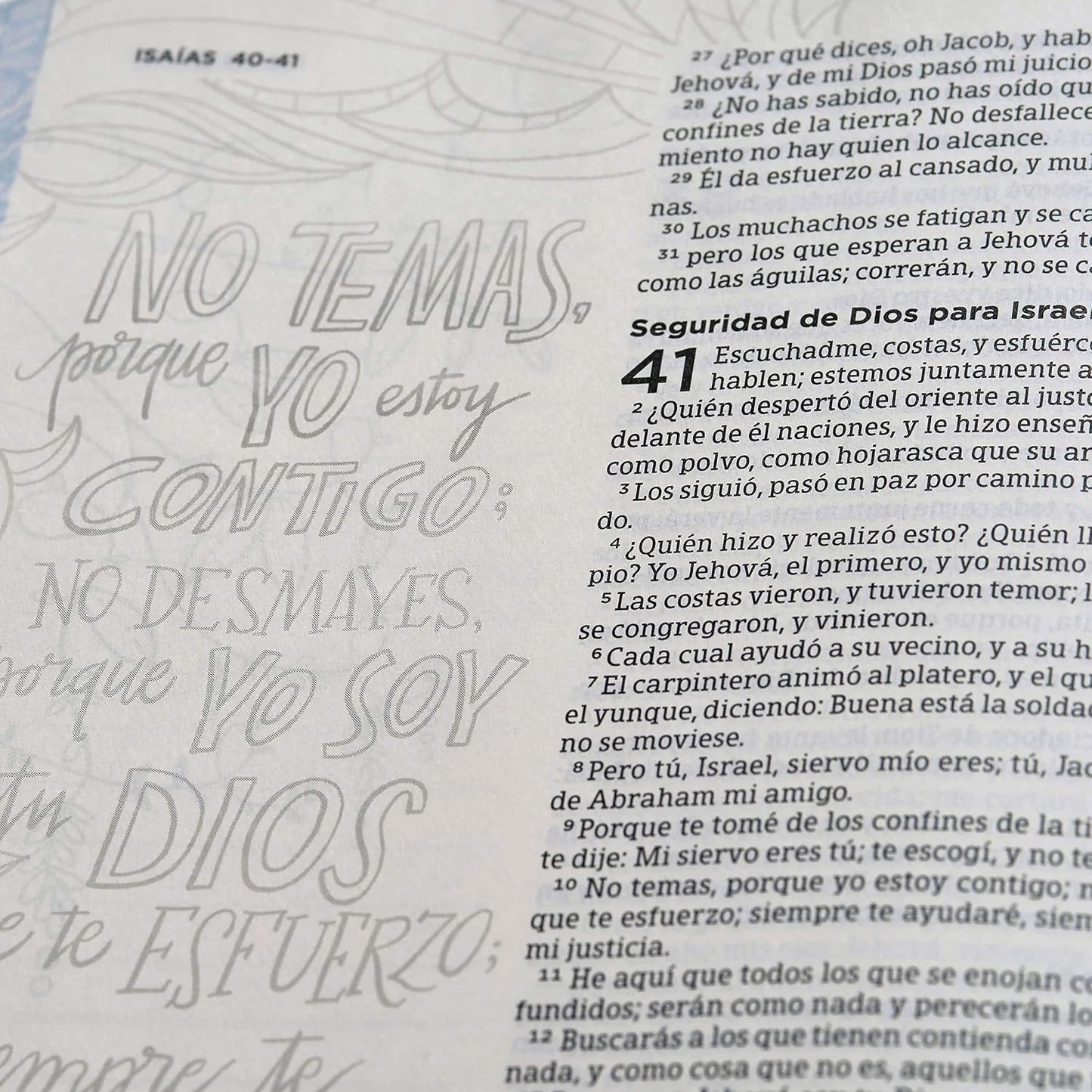 Biblia Reina Valera 1960 De Apuntes, Edición Ilustrada. Tela En Rosado Y Azul | RVR 1960 Illustrator’S Notetaking Bible,Cloth over Board, Blue and Pink (Spanish Edition)