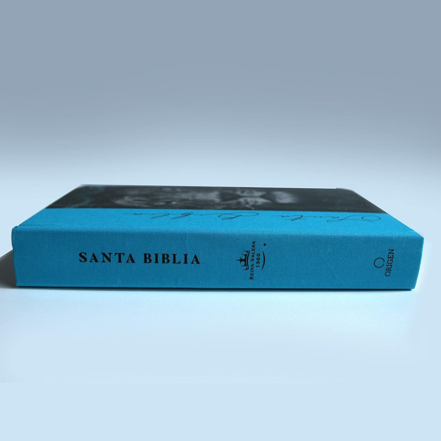 Biblia RVR 1960 Letra Grande, Tamaño Manual, Tapa Dura De Tela León Aguamarina / Spanish Bible RVR 1960 Handy Size Large Print Hardcover Cloth Lion Aquamarin (Spanish Edition)