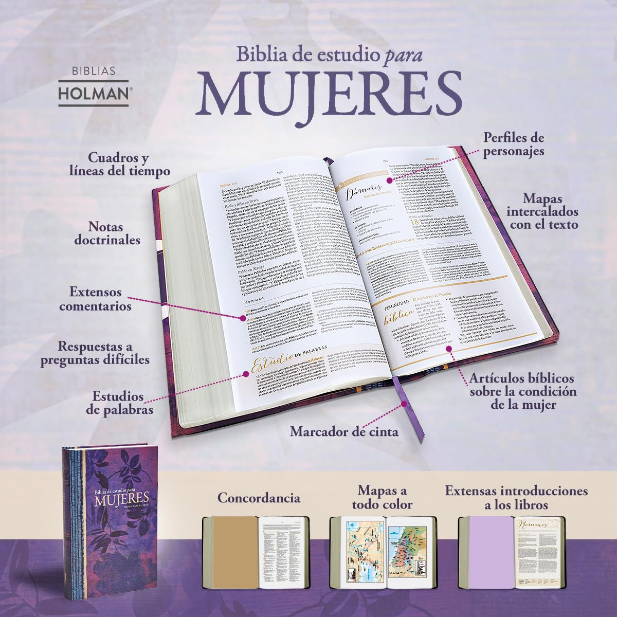 Biblia Reina Valera 1960 De Estudio Para Mujeres, Tapa Dura | RVR 1960 Women'S Study Bible, Hardcover (Spanish Edition)