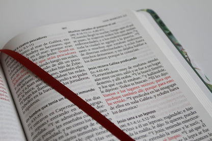 Biblia RVR 1960 Letra Grande Tapa Dura Y Tela Verde Con Flores Tamaño Manual / Bible RVR 1960 Handy Size Large Print Hardcover Cloth with Green Floral (Spanish Edition)