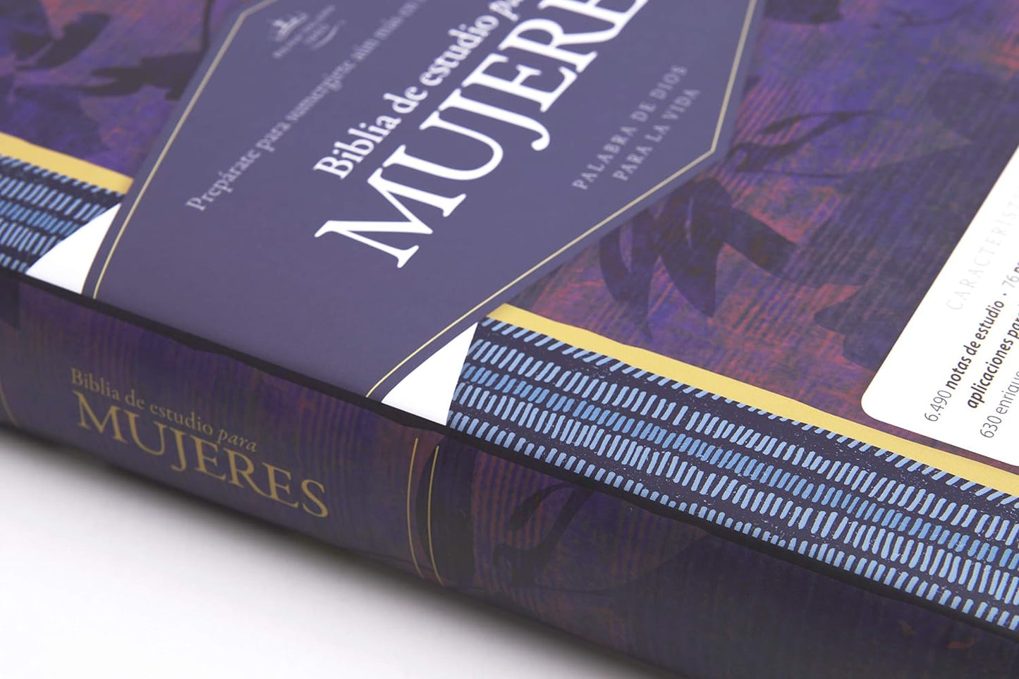 Biblia Reina Valera 1960 De Estudio Para Mujeres, Tapa Dura | RVR 1960 Women'S Study Bible, Hardcover (Spanish Edition)