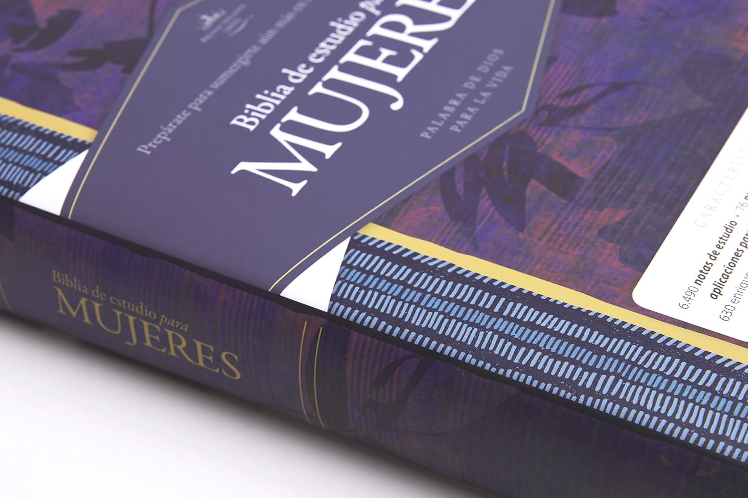 Biblia Reina Valera 1960 De Estudio Para Mujeres, Tapa Dura | RVR 1960 Women'S Study Bible, Hardcover (Spanish Edition)