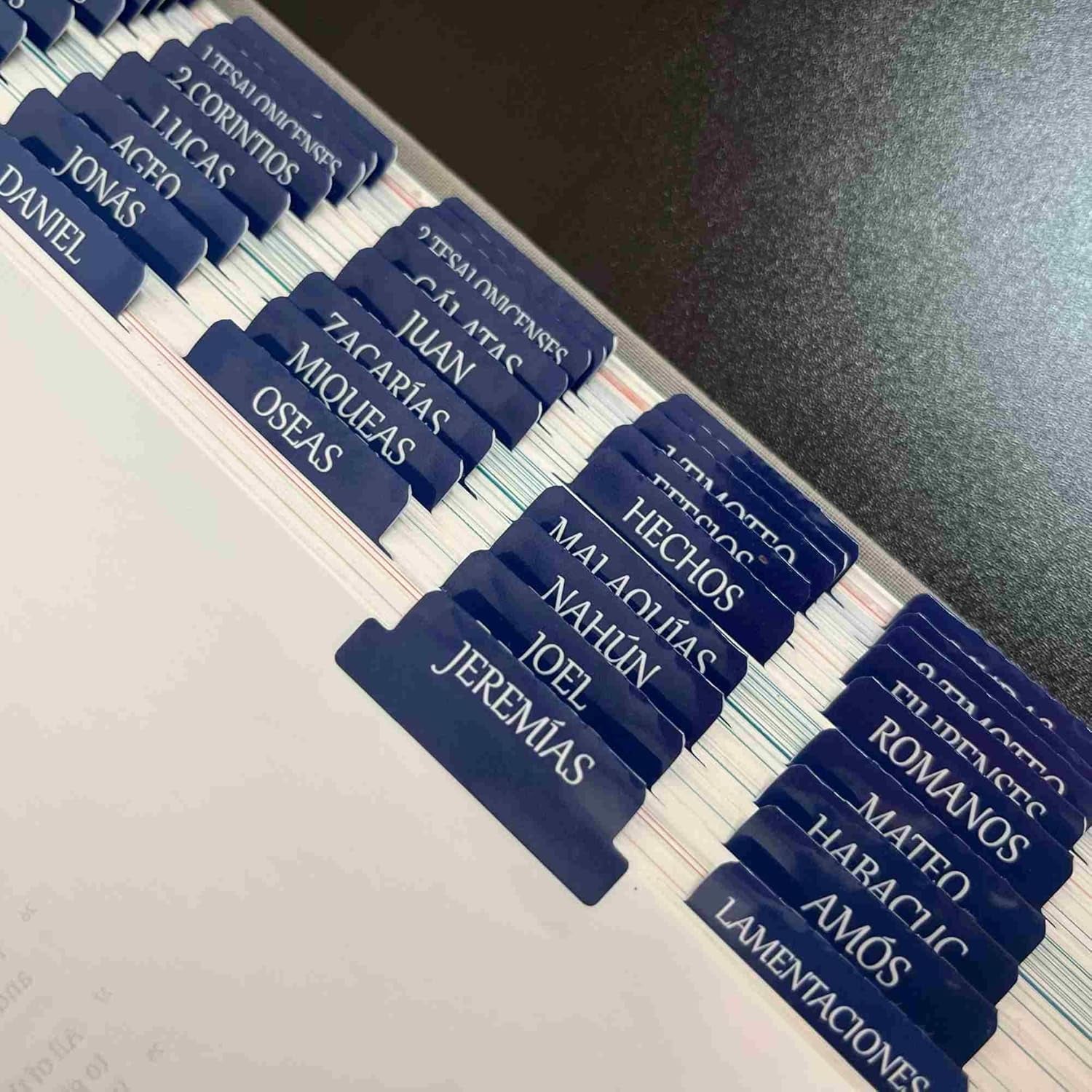 Spanish Laminated Bible Tabs, Pestañas Para Biblia En Español, Reposition Large Print Stickers, Easy to Read and Apply Bible Tabs for Women and Man (Spanish Blue)