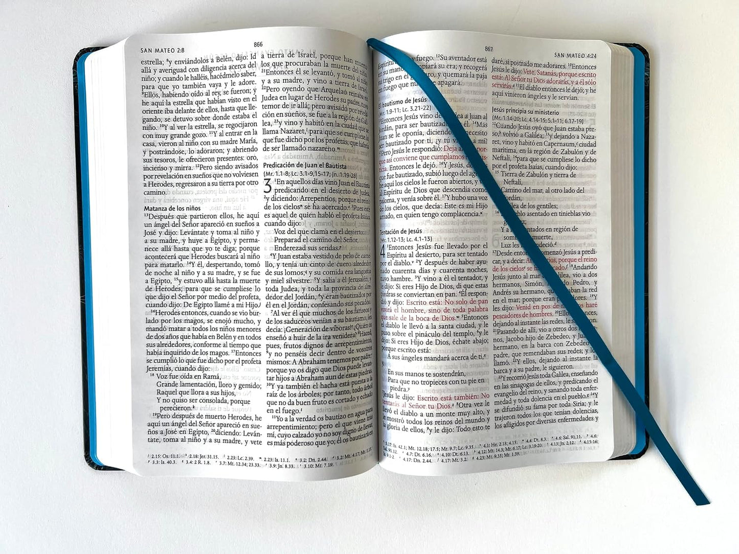 Biblia RVR 1960 Letra Grande, Tamaño Manual, Tapa Dura De Tela León Aguamarina / Spanish Bible RVR 1960 Handy Size Large Print Hardcover Cloth Lion Aquamarin (Spanish Edition)