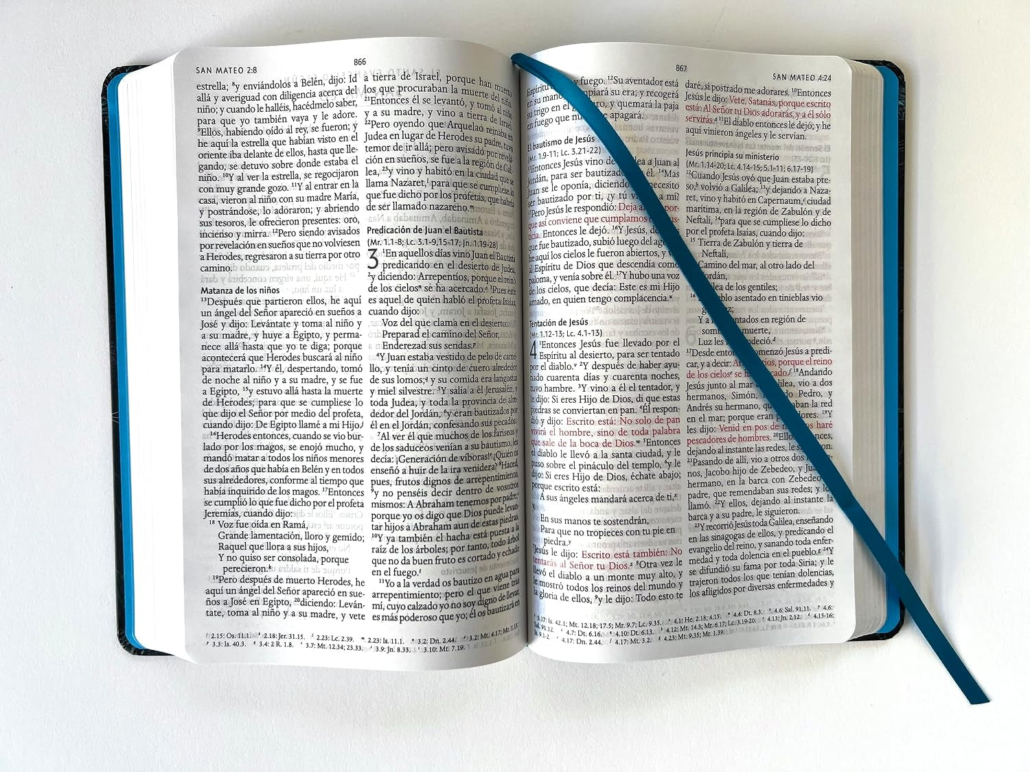 Biblia RVR 1960 Letra Grande, Tamaño Manual, Tapa Dura De Tela León Aguamarina / Spanish Bible RVR 1960 Handy Size Large Print Hardcover Cloth Lion Aquamarin (Spanish Edition)