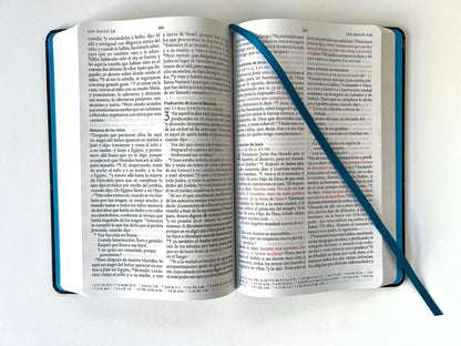 Biblia RVR 1960 Letra Grande, Tamaño Manual, Tapa Dura De Tela León Aguamarina / Spanish Bible RVR 1960 Handy Size Large Print Hardcover Cloth Lion Aquamarin (Spanish Edition)
