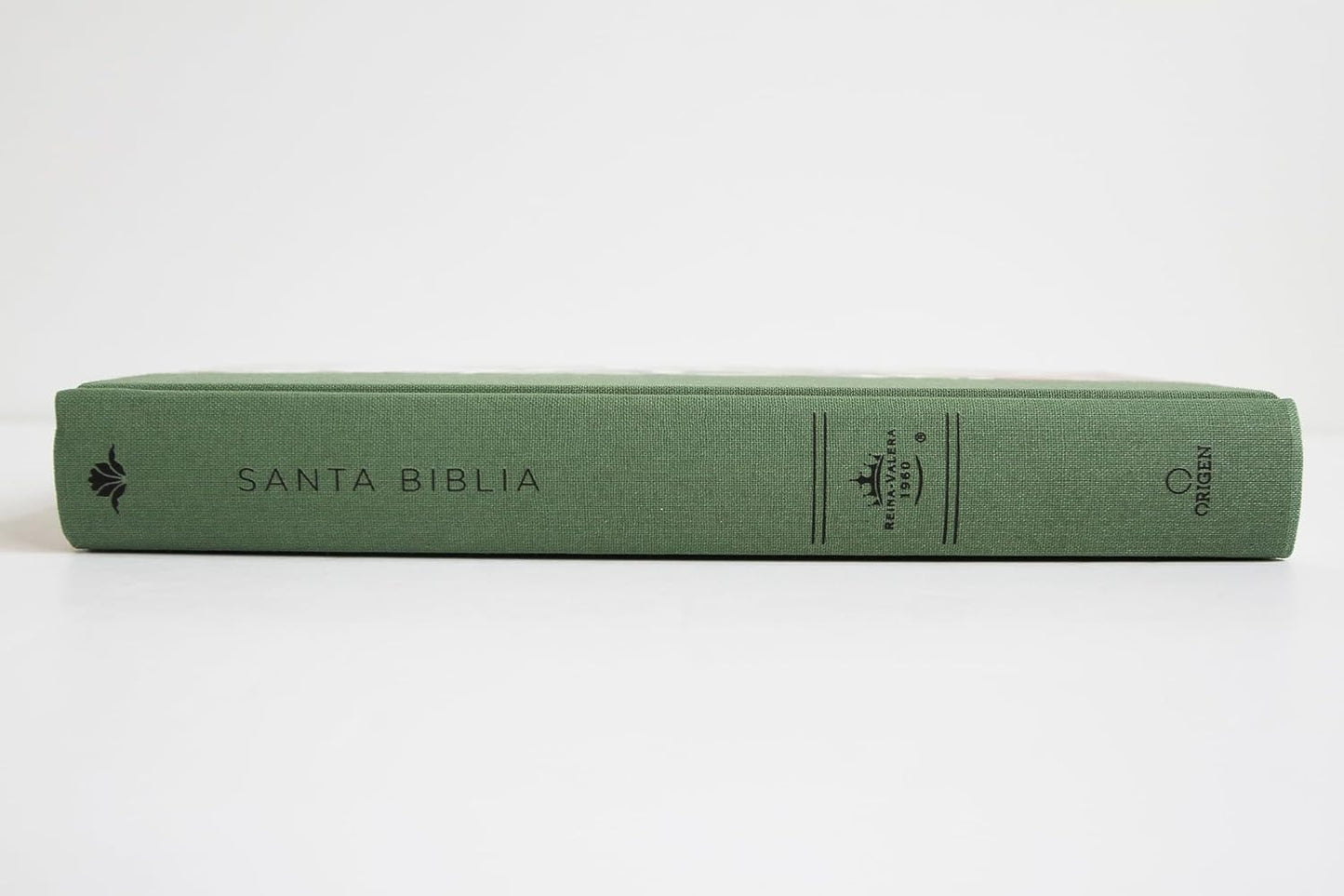 Biblia RVR 1960 Letra Grande Tapa Dura Y Tela Verde Con Flores Tamaño Manual / Bible RVR 1960 Handy Size Large Print Hardcover Cloth with Green Floral (Spanish Edition)