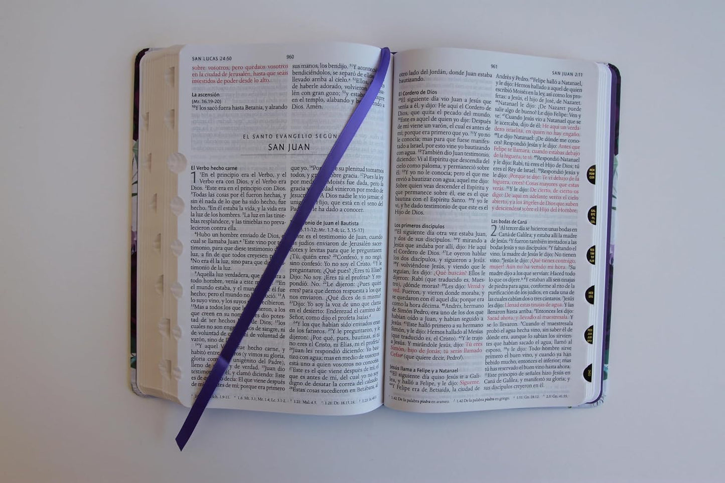 Biblia RVR1960 Tapa Dura Y Tela Morada Con Flores Tamaño Manual Con Índice / Spanish Bible RVR 1960, Hardcover, Purple Cloth with Flowers, Handy Size (Spanish Edition)