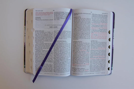 Biblia RVR1960 Tapa Dura Y Tela Morada Con Flores Tamaño Manual Con Índice / Spanish Bible RVR 1960, Hardcover, Purple Cloth with Flowers, Handy Size (Spanish Edition)