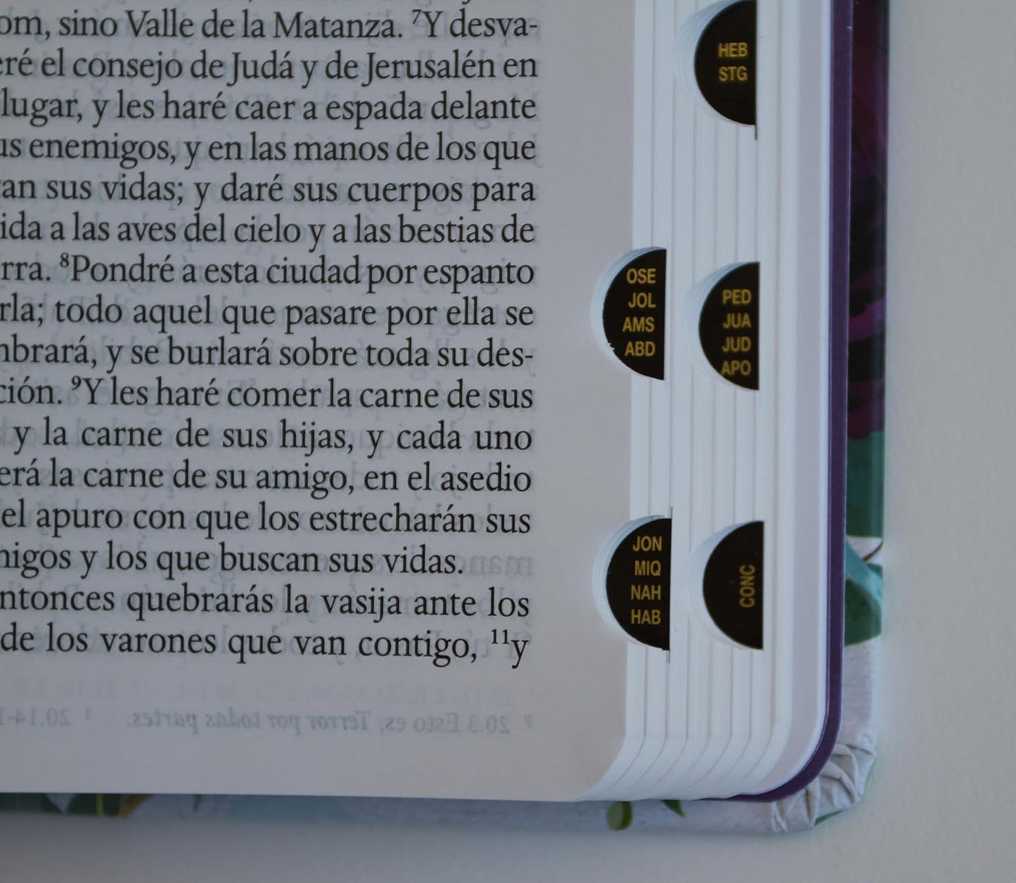 Biblia RVR1960 Tapa Dura Y Tela Morada Con Flores Tamaño Manual Con Índice / Spanish Bible RVR 1960, Hardcover, Purple Cloth with Flowers, Handy Size (Spanish Edition)