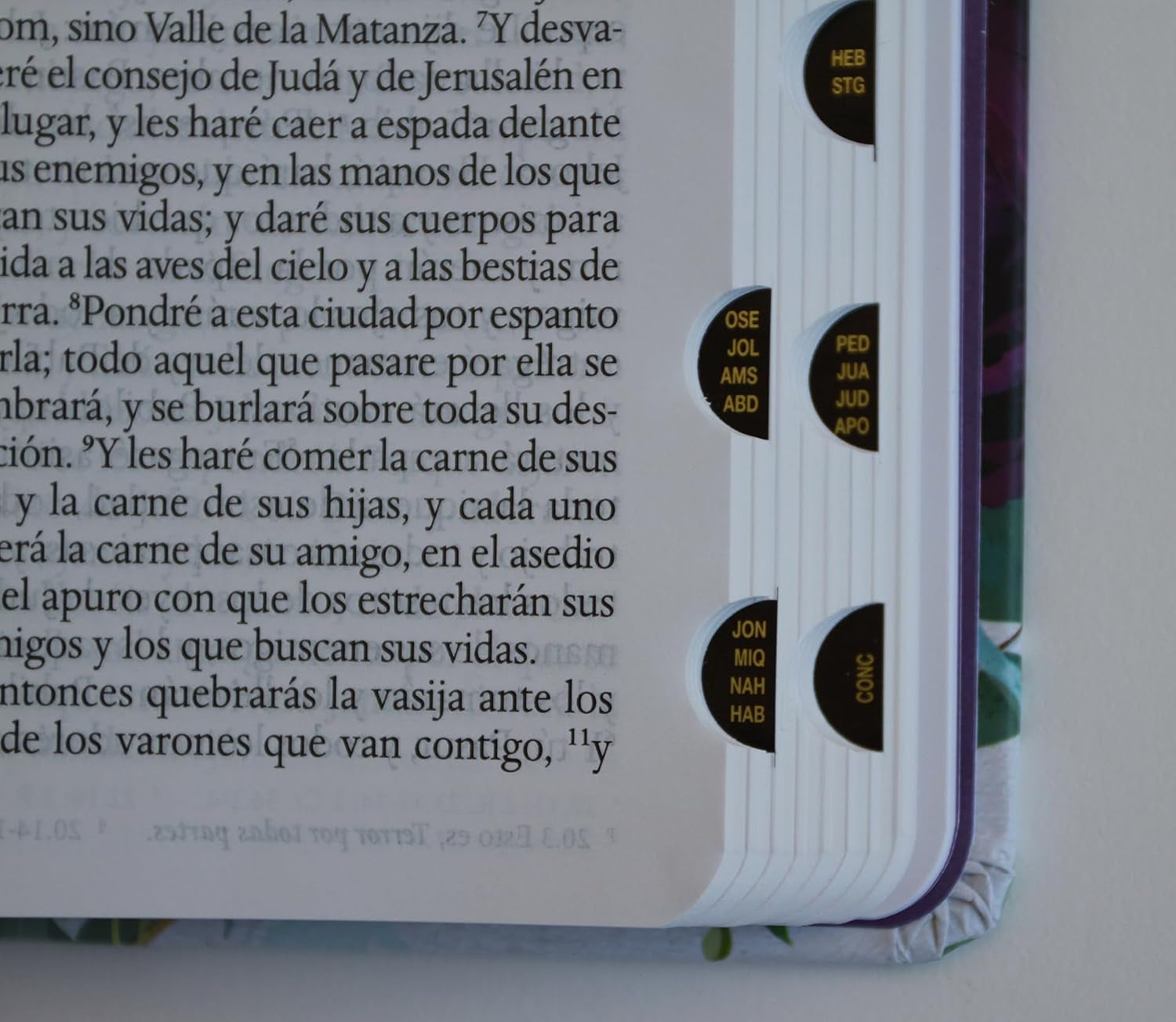 Biblia RVR1960 Tapa Dura Y Tela Morada Con Flores Tamaño Manual Con Índice / Spanish Bible RVR 1960, Hardcover, Purple Cloth with Flowers, Handy Size (Spanish Edition)