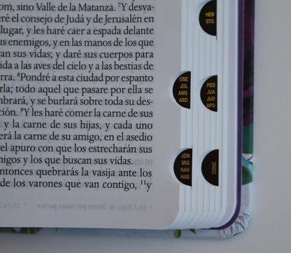 Biblia RVR1960 Tapa Dura Y Tela Morada Con Flores Tamaño Manual Con Índice / Spanish Bible RVR 1960, Hardcover, Purple Cloth with Flowers, Handy Size (Spanish Edition)