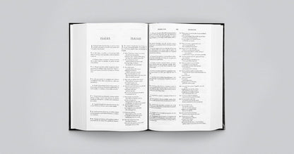 ESV Spanish/English Parallel Bible (La Santa Biblia RVR / the Holy Bible ESV)