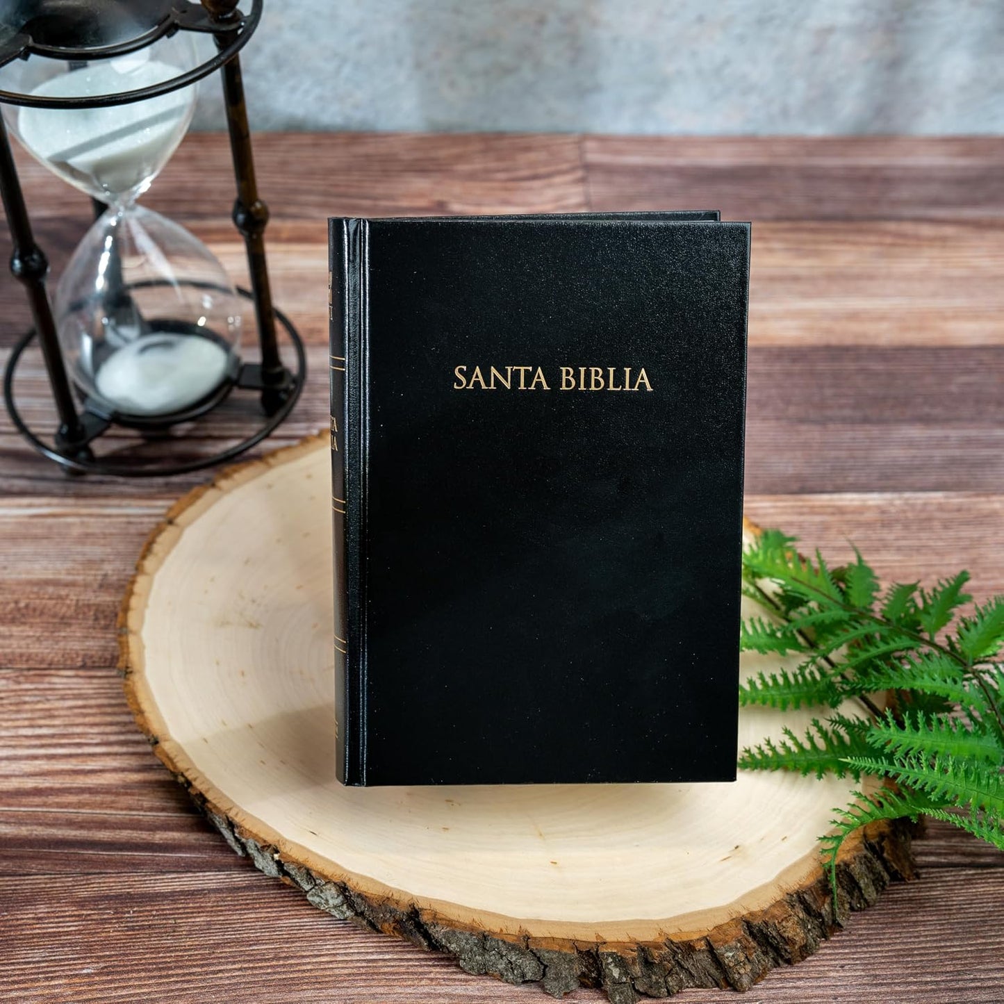Biblia Nueva Versión Internacional Para Regalos Y Premios, Tapa Dura, Negro | NVI Gift and Award Holy Bible, Hardcover, Black (Spanish Edition)