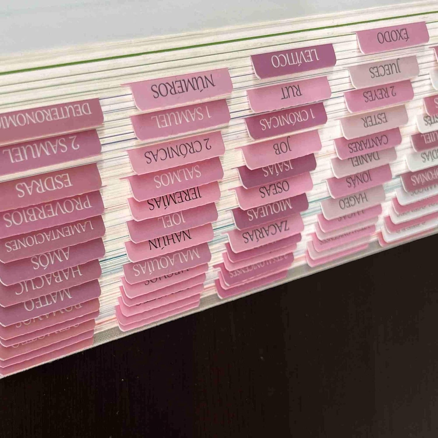 Spanish Laminated Bible Tabs, Pestañas Para Biblia En Español, Reposition Large Print Stickers, Easy to Read and Apply Bible Tabs for Women and Man (Spanish Pink)