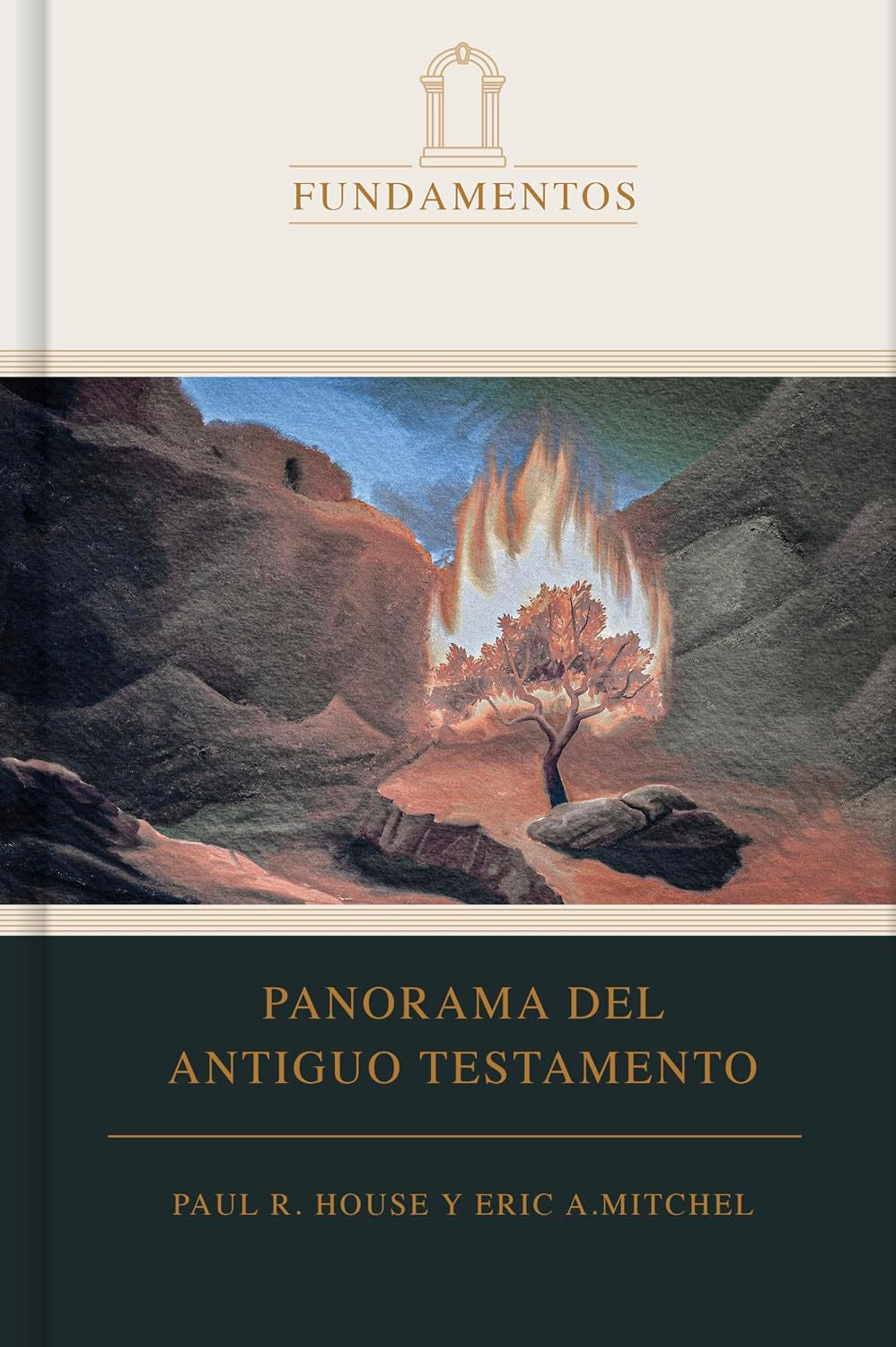 Panorama Del Antiguo Testamento (SPA O.T. Overview) (Spanish Edition)