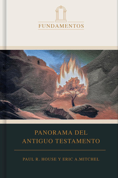 Panorama Del Antiguo Testamento (SPA O.T. Overview) (Spanish Edition)