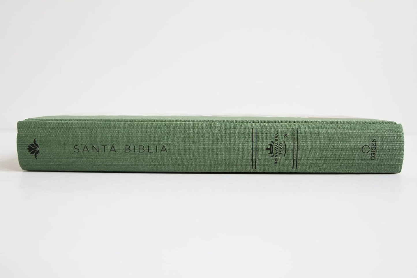 Biblia RVR 1960 Letra Grande Tapa Dura Y Tela Verde Con Flores Tamaño Manual / Bible RVR 1960 Handy Size Large Print Hardcover Cloth with Green Floral (Spanish Edition)