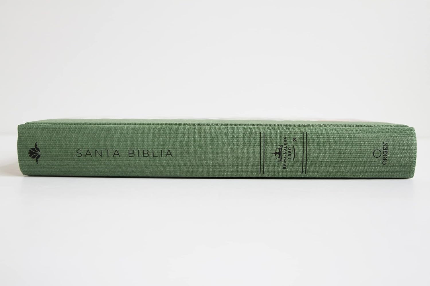 Biblia RVR 1960 Letra Grande Tapa Dura Y Tela Verde Con Flores Tamaño Manual / Bible RVR 1960 Handy Size Large Print Hardcover Cloth with Green Floral (Spanish Edition)