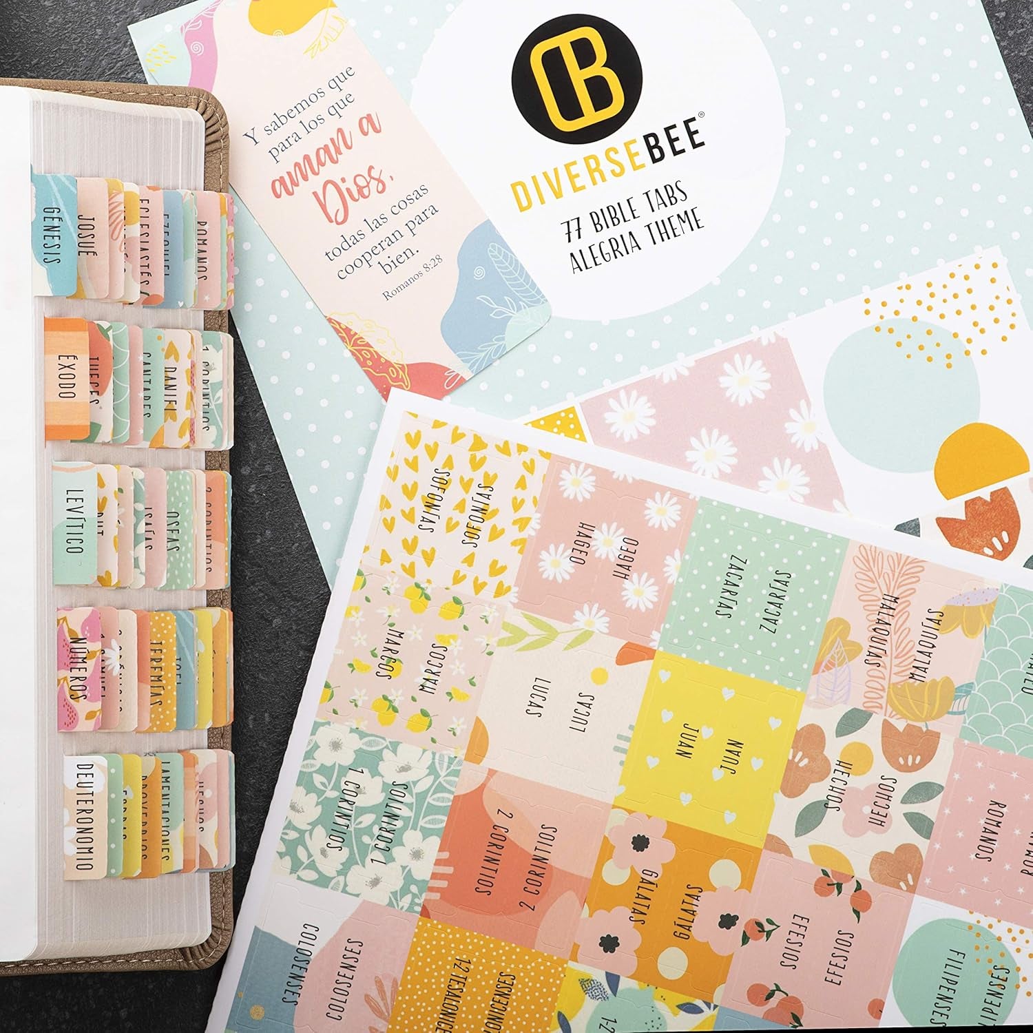 Spanish Bible Tabs (Large Print, Easy to Read), Pestañas Para Biblia En Español, Bible Journaling Supplies, 66 Separadores De Biblia Includes Catholic Books and 9 Blank Tabs - Alegria Theme
