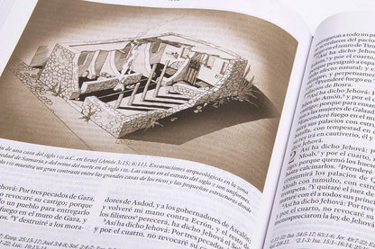 Biblia Reina Valera 1960 De Estudio Para Mujeres, Tapa Dura | RVR 1960 Women'S Study Bible, Hardcover (Spanish Edition)