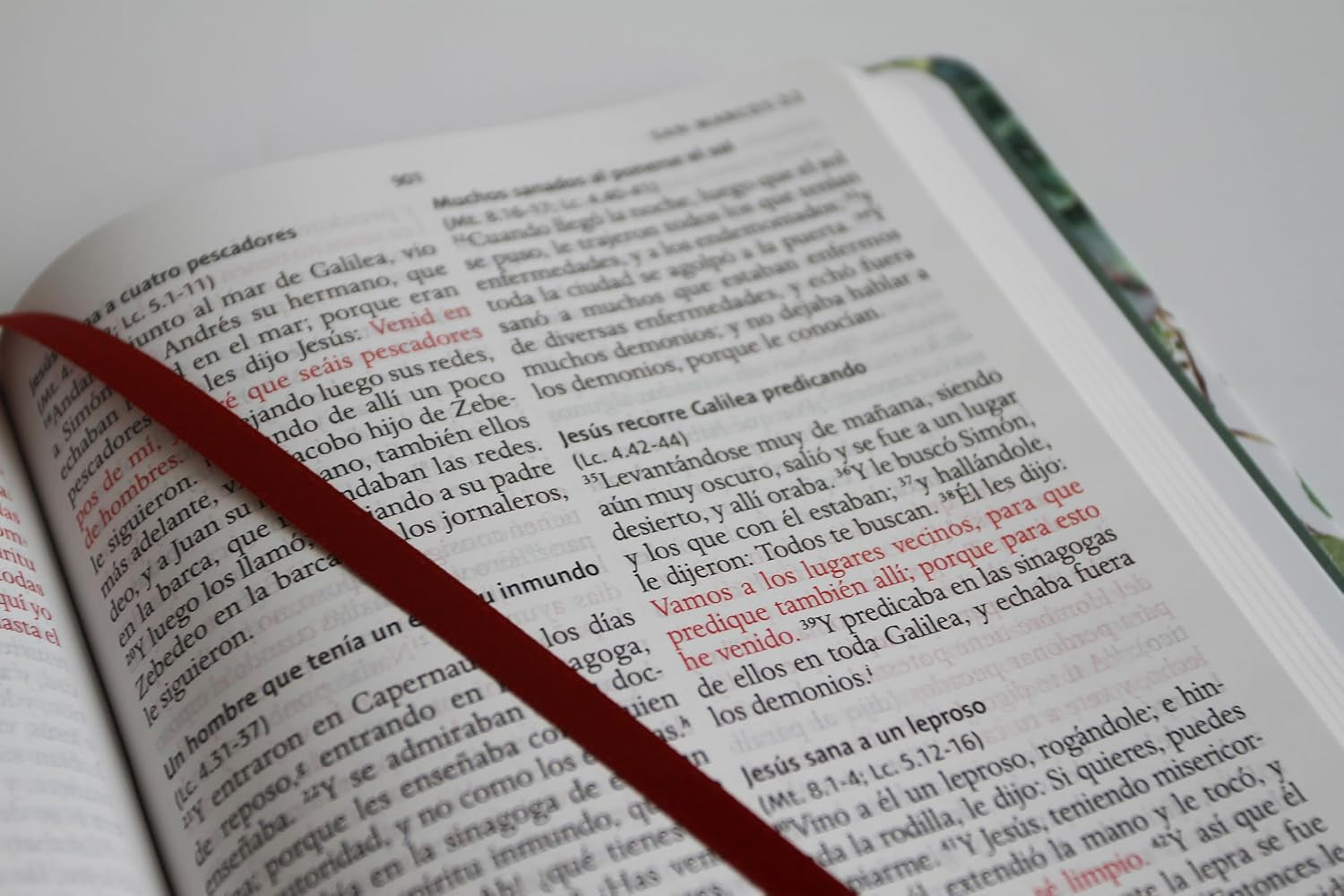 Biblia RVR 1960 Letra Grande Tapa Dura Y Tela Verde Con Flores Tamaño Manual / Bible RVR 1960 Handy Size Large Print Hardcover Cloth with Green Floral (Spanish Edition)