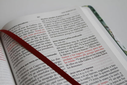 Biblia RVR 1960 Letra Grande Tapa Dura Y Tela Verde Con Flores Tamaño Manual / Bible RVR 1960 Handy Size Large Print Hardcover Cloth with Green Floral (Spanish Edition)