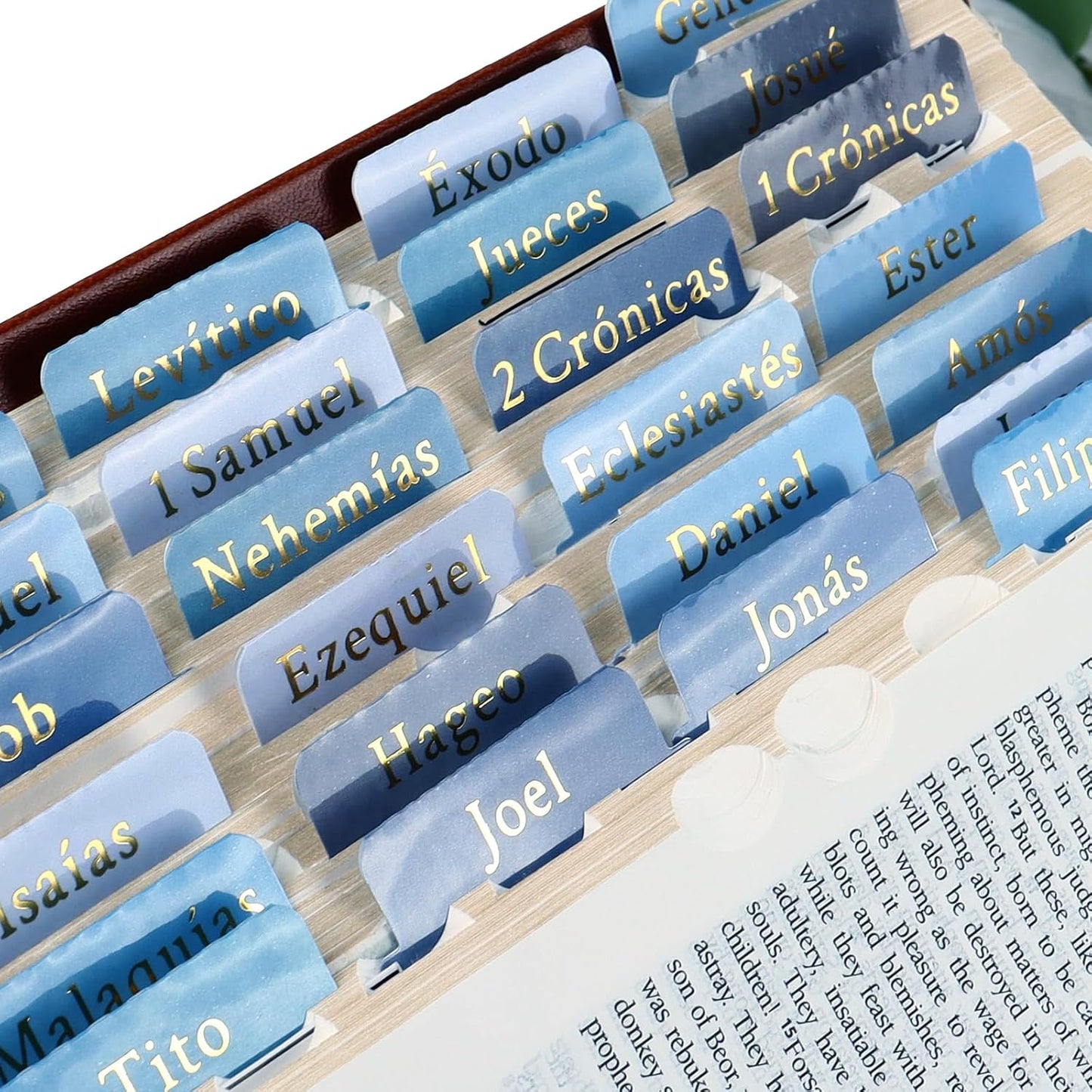 Blue Spanish Bible Tabs for Men, Laminated Tab Dividers for Bible, 90Pcs | Spanish Ed., 66 Books + 24 Blank, for NIV/KJV/ESV, Dual-Sided Gold Print & Quick-Find, Water-Resistant, with Placement Guide