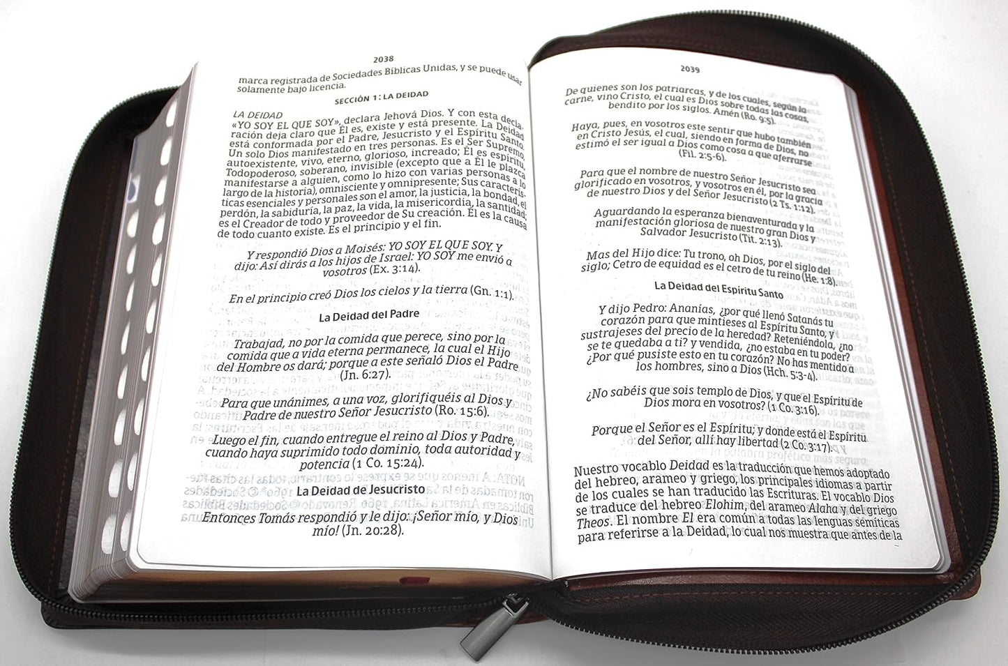 Biblia Reina Valera 1960 Letra Grande En Español De 14 Puntos-Tamaño Manual Con Cierre, Indice, Foro En Semil Piel Color Caoba/ RVR 1960 Large Giant Print Bible in Spanish Edition, Brown with Zipper