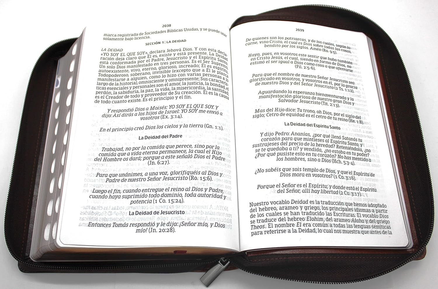 Biblia Reina Valera 1960 Letra Grande En Español De 14 Puntos-Tamaño Manual Con Cierre, Indice, Foro En Semil Piel Color Caoba/ RVR 1960 Large Giant Print Bible in Spanish Edition, Brown with Zipper
