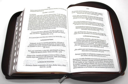 Biblia Reina Valera 1960 Letra Grande En Español De 14 Puntos-Tamaño Manual Con Cierre, Indice, Foro En Semil Piel Color Caoba/ RVR 1960 Large Giant Print Bible in Spanish Edition, Brown with Zipper