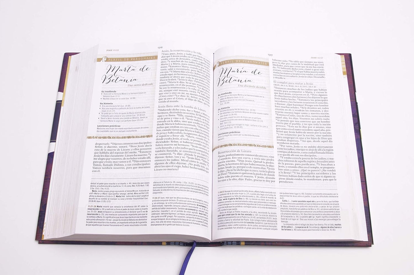Biblia Reina Valera 1960 De Estudio Para Mujeres, Tapa Dura | RVR 1960 Women'S Study Bible, Hardcover (Spanish Edition)