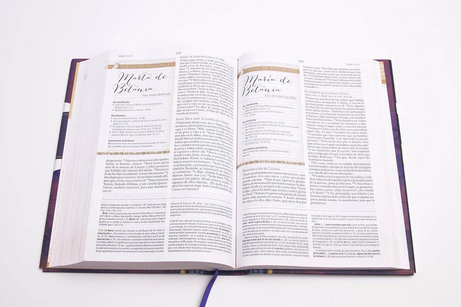Biblia Reina Valera 1960 De Estudio Para Mujeres, Tapa Dura | RVR 1960 Women'S Study Bible, Hardcover (Spanish Edition)