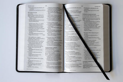 Biblia Reina Valera 1960 Letra Grande. Tapa Dura, León De Judá, Tamaño Manual/ Spanish Bible RVR 1960. Handy Size, Large Print, Hardcover, Lion of Judah (Spanish Edition)