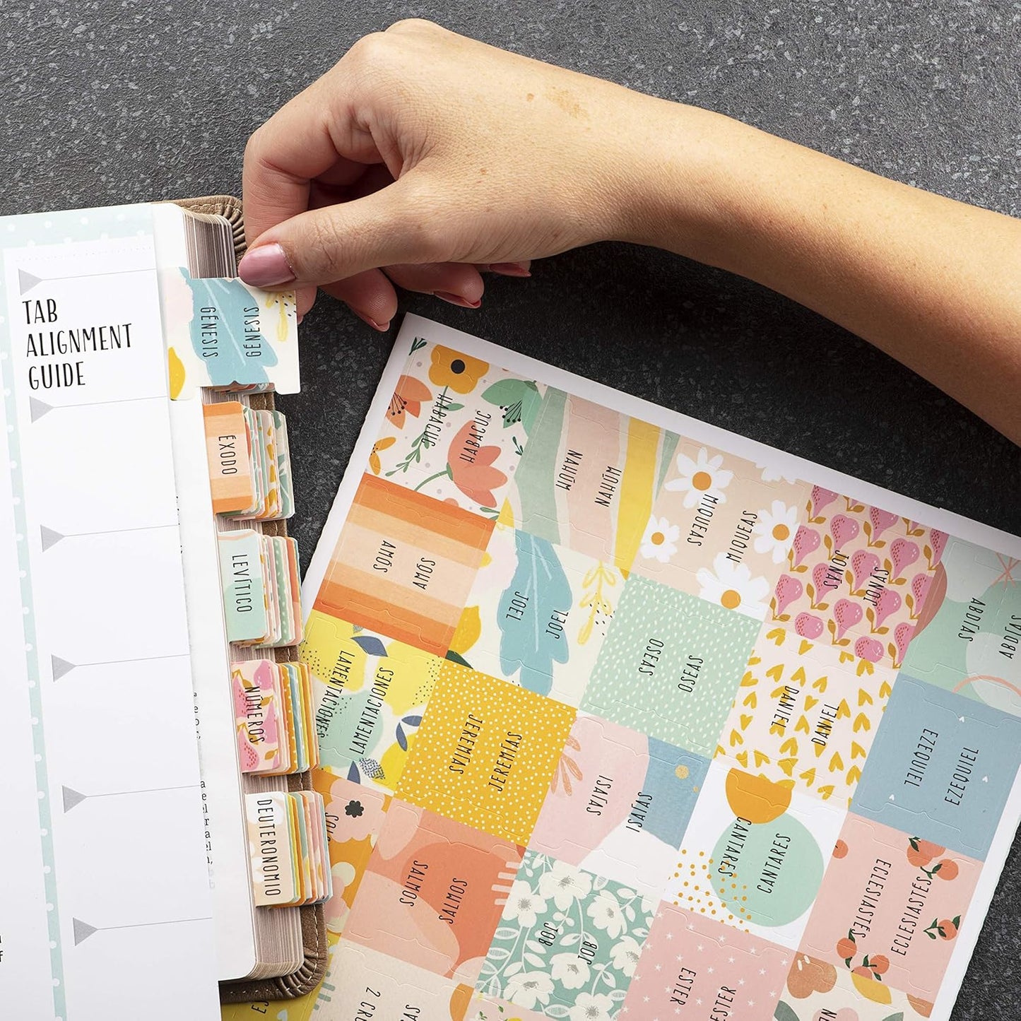 Spanish Bible Tabs (Large Print, Easy to Read), Pestañas Para Biblia En Español, Bible Journaling Supplies, 66 Separadores De Biblia Includes Catholic Books and 9 Blank Tabs - Alegria Theme