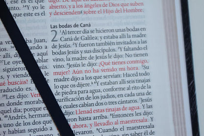 Biblia RVR 1960 Letra Grande Tamaño Manual, Símil Piel León De Juda / Spanish Bible RVR 1960 Handy Size Large Print Imitation Leather Lion of Judah (Spanish Edition)