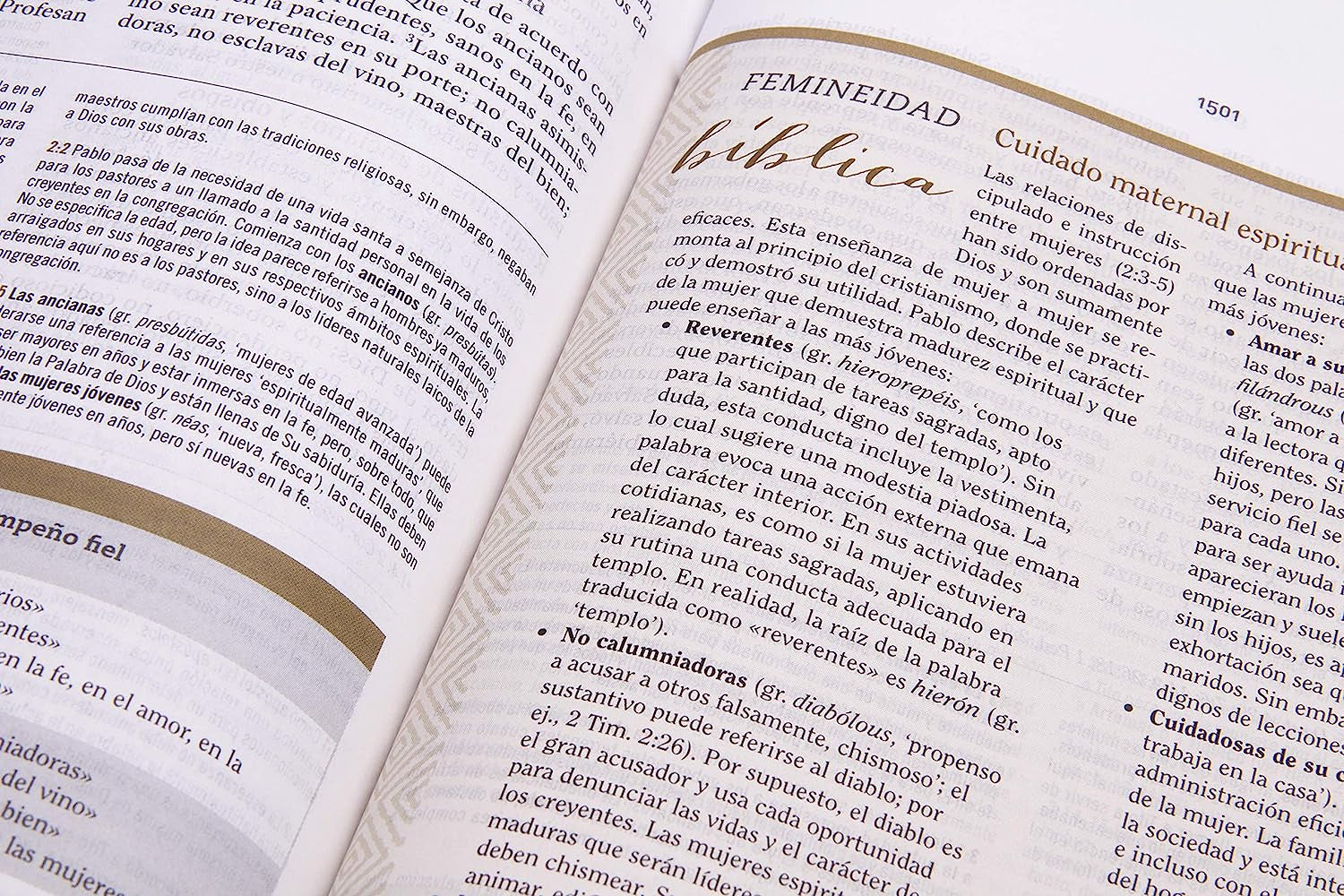 Biblia Reina Valera 1960 De Estudio Para Mujeres, Tapa Dura | RVR 1960 Women'S Study Bible, Hardcover (Spanish Edition)