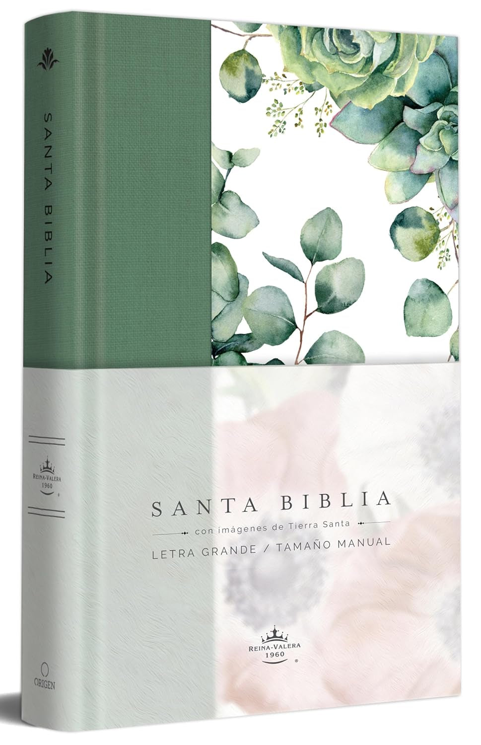 Biblia RVR 1960 Letra Grande Tapa Dura Y Tela Verde Con Flores Tamaño Manual / Bible RVR 1960 Handy Size Large Print Hardcover Cloth with Green Floral (Spanish Edition)