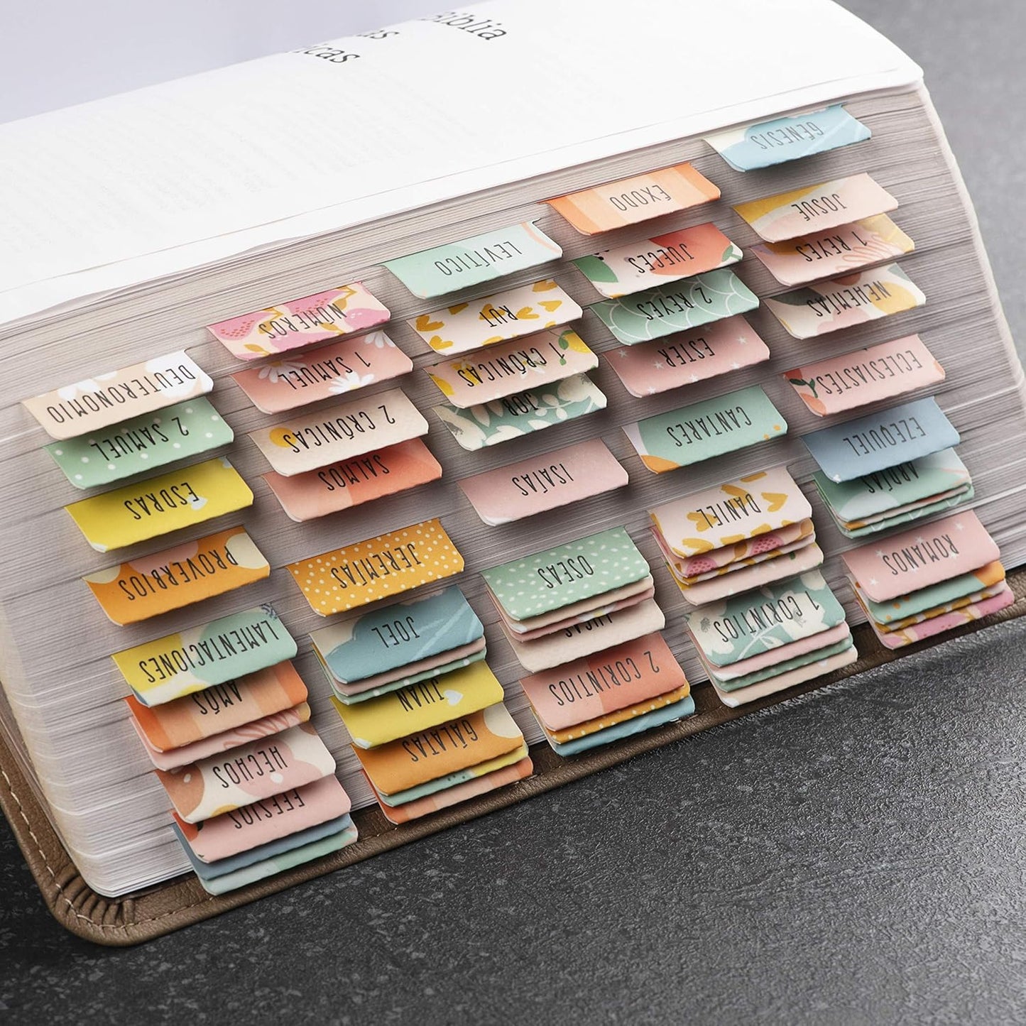 Spanish Bible Tabs (Large Print, Easy to Read), Pestañas Para Biblia En Español, Bible Journaling Supplies, 66 Separadores De Biblia Includes Catholic Books and 9 Blank Tabs - Alegria Theme
