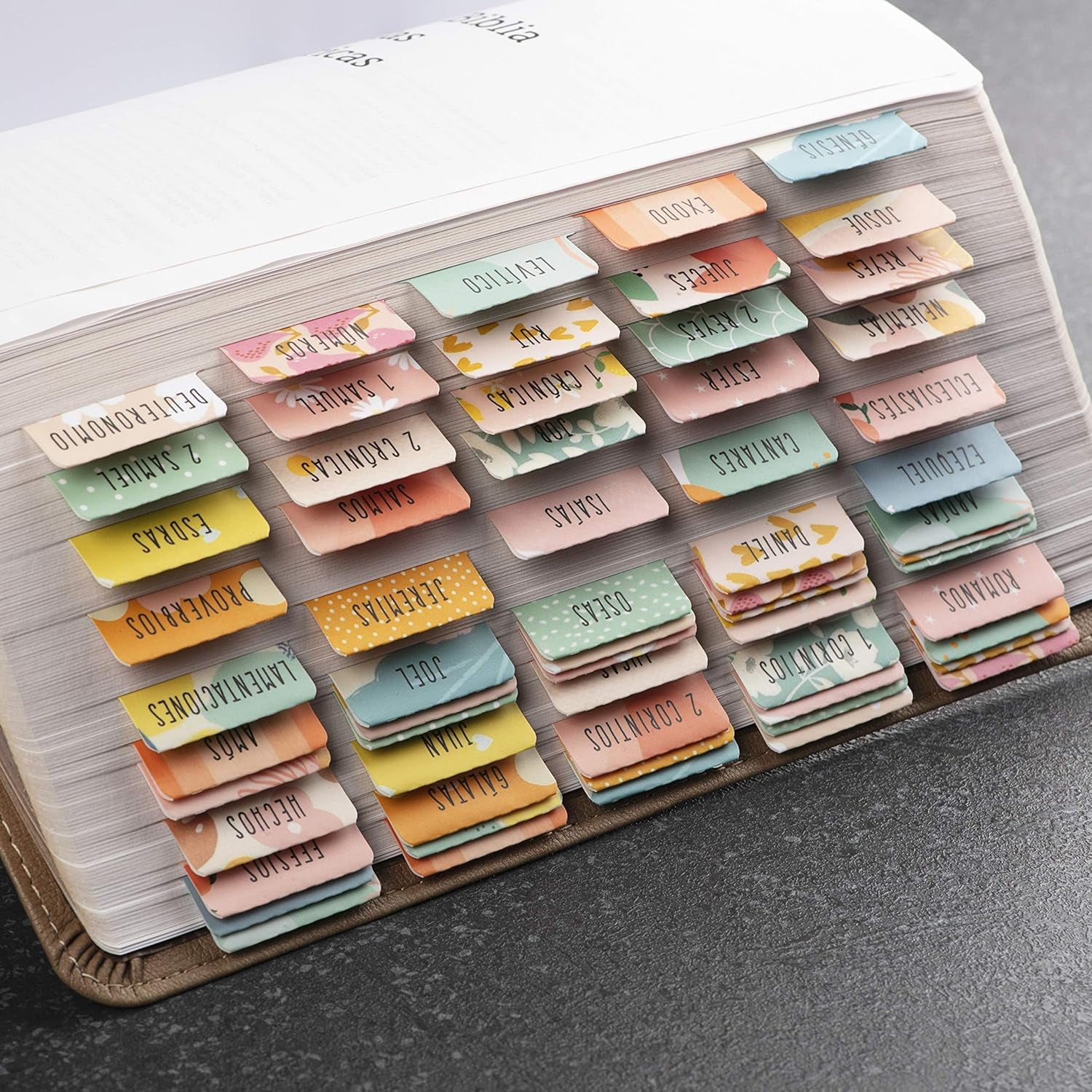 Spanish Bible Tabs (Large Print, Easy to Read), Pestañas Para Biblia En Español, Bible Journaling Supplies, 66 Separadores De Biblia Includes Catholic Books and 9 Blank Tabs - Alegria Theme