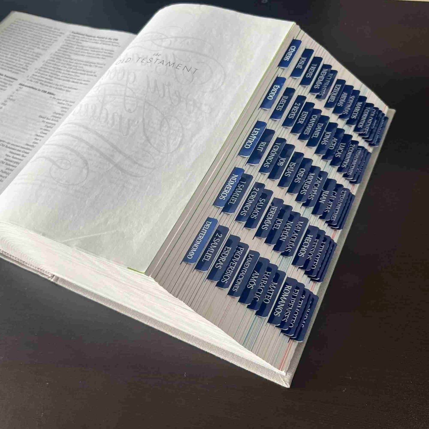Spanish Laminated Bible Tabs, Pestañas Para Biblia En Español, Reposition Large Print Stickers, Easy to Read and Apply Bible Tabs for Women and Man (Spanish Blue)