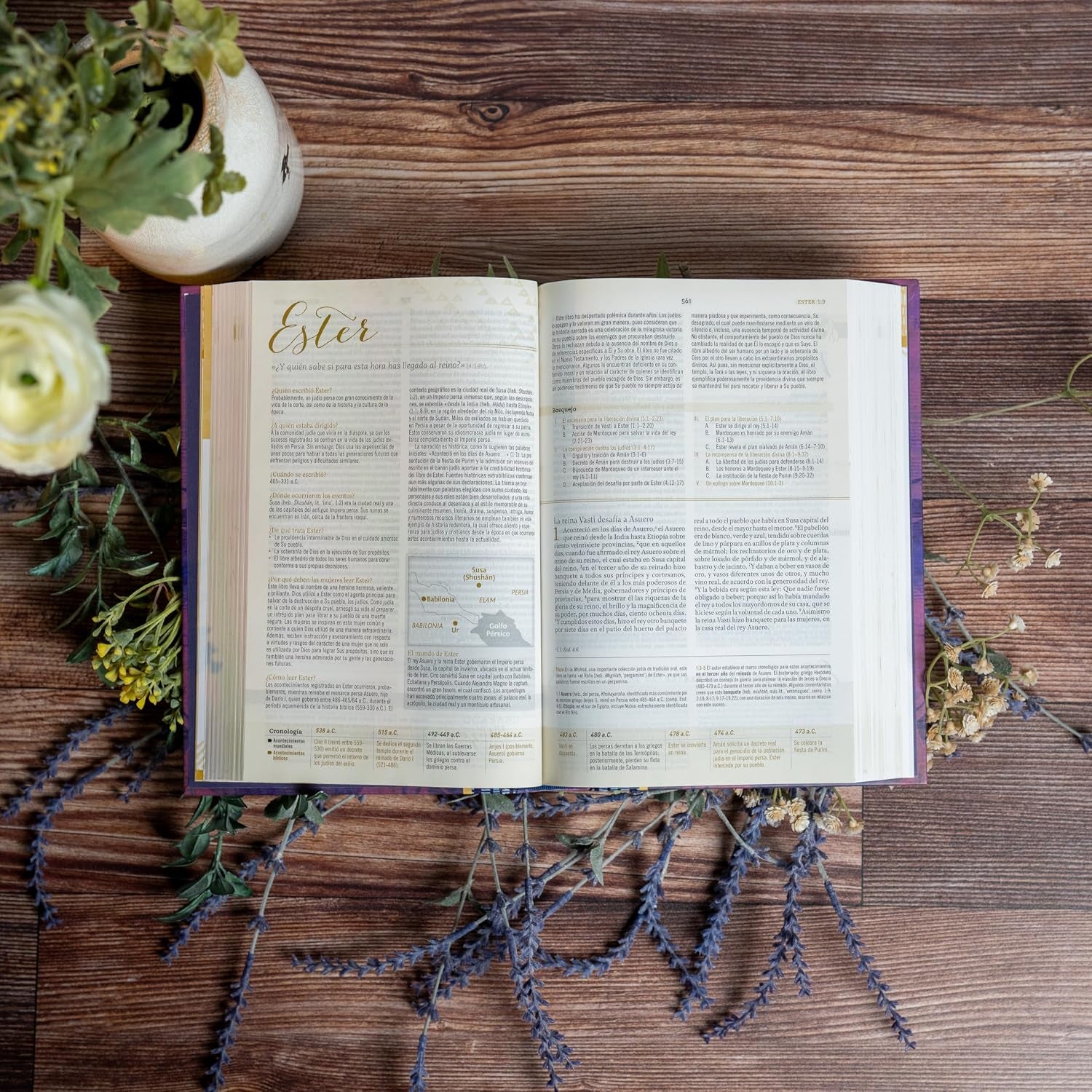 Biblia Reina Valera 1960 De Estudio Para Mujeres, Tapa Dura | RVR 1960 Women'S Study Bible, Hardcover (Spanish Edition)