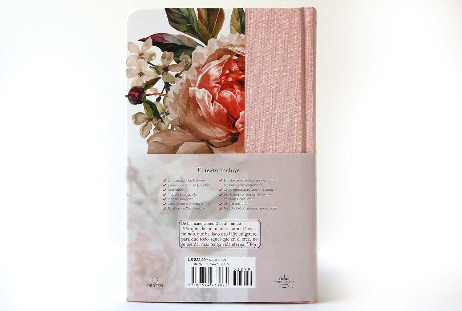 Biblia Reina Valera 1960 Letra Grande. Tapa Dura, Tela Rosada Con Flores, Tamaño Manual / Bible RVR 1960. Handy Size, Large Print, Hardcover, Pink (Spanish Edition)