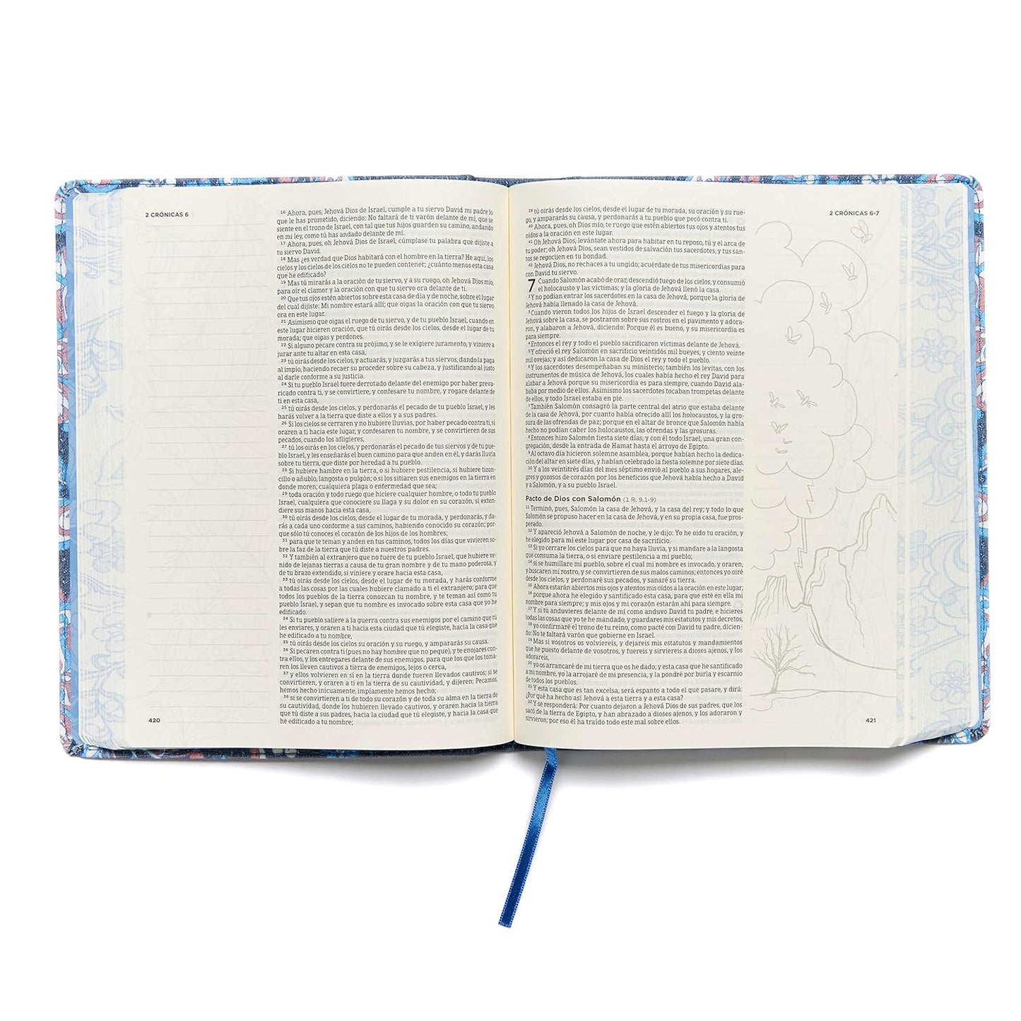Biblia Reina Valera 1960 De Apuntes, Edición Ilustrada. Tela En Rosado Y Azul | RVR 1960 Illustrator’S Notetaking Bible,Cloth over Board, Blue and Pink (Spanish Edition)
