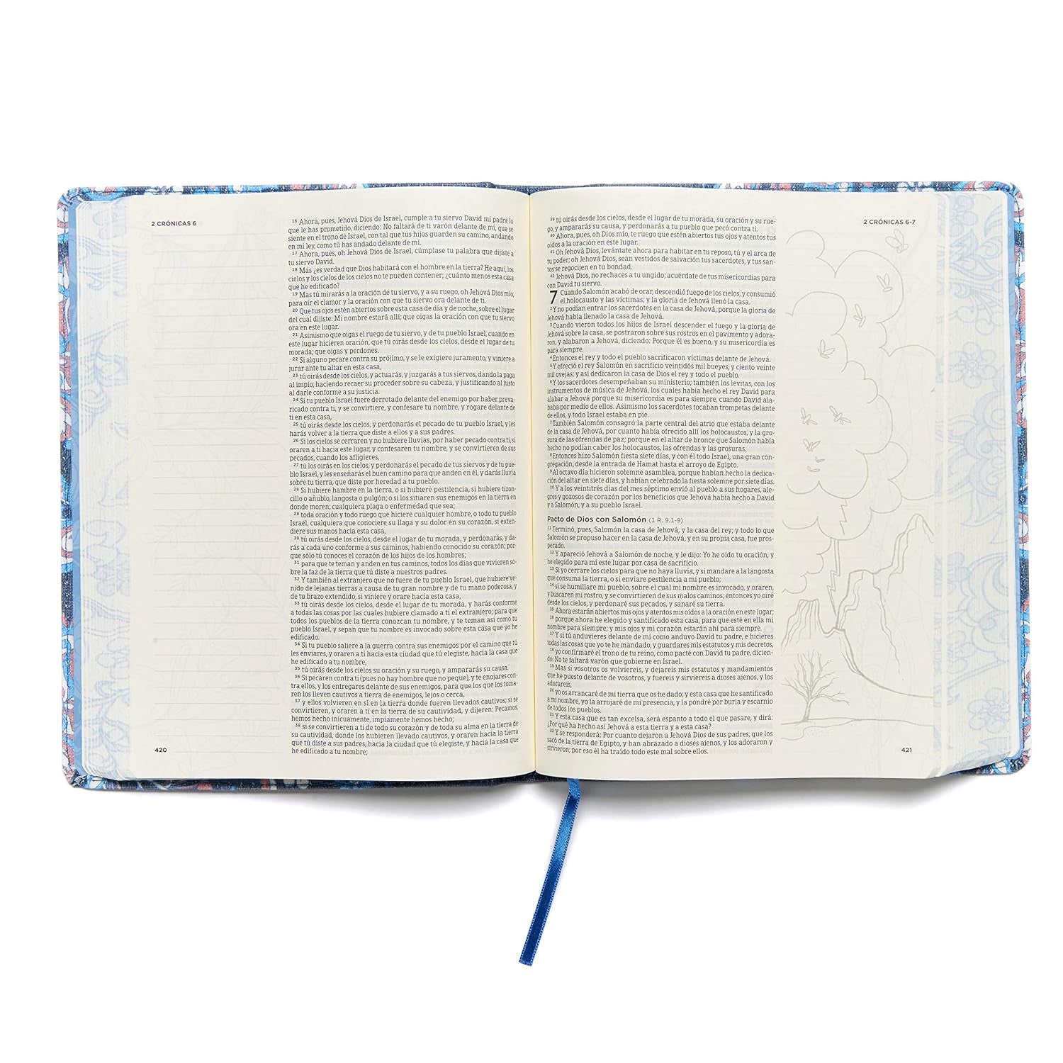 Biblia Reina Valera 1960 De Apuntes, Edición Ilustrada. Tela En Rosado Y Azul | RVR 1960 Illustrator’S Notetaking Bible,Cloth over Board, Blue and Pink (Spanish Edition)