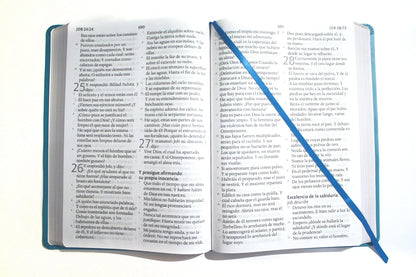 Biblia Reina Valera Letra Súper Gigante, Símil Piel Aguamarina / Spanish Bible Reina Valera Super Giant Print, Aquamarine Leathersoft (Spanish Edition)