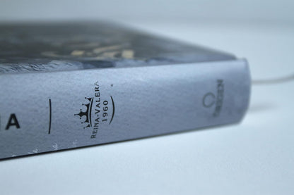 Biblia RVR60 Letra Grande Tamaño Manual, Tapa Dura León Rey De Reyes / Spanish Bible RVR60 Handy Size Large Print Hardcover Lion King of Kings (Spanish Edition)