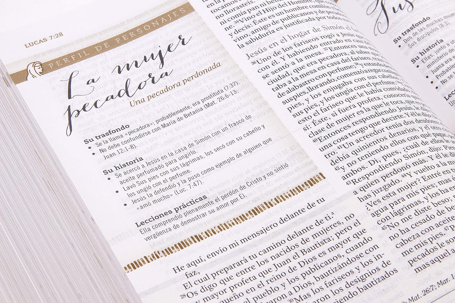 Biblia Reina Valera 1960 De Estudio Para Mujeres, Tapa Dura | RVR 1960 Women'S Study Bible, Hardcover (Spanish Edition)