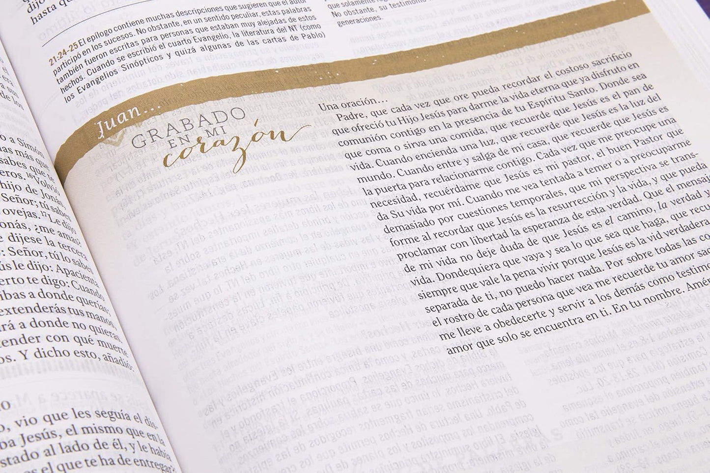 Biblia Reina Valera 1960 De Estudio Para Mujeres, Tapa Dura | RVR 1960 Women'S Study Bible, Hardcover (Spanish Edition)