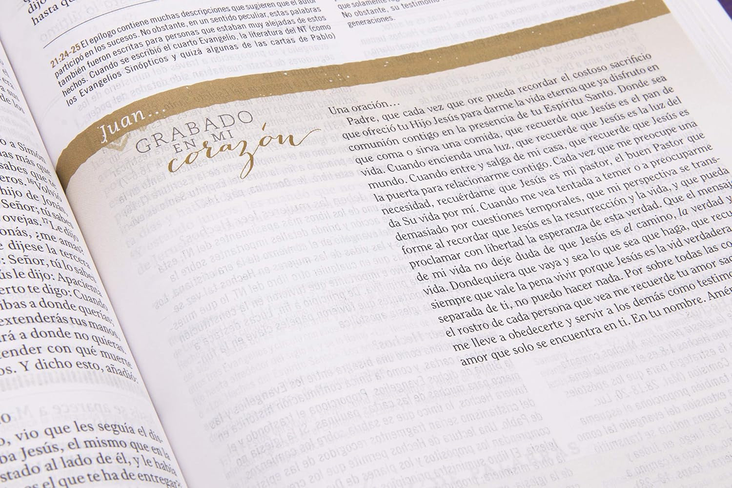 Biblia Reina Valera 1960 De Estudio Para Mujeres, Tapa Dura | RVR 1960 Women'S Study Bible, Hardcover (Spanish Edition)